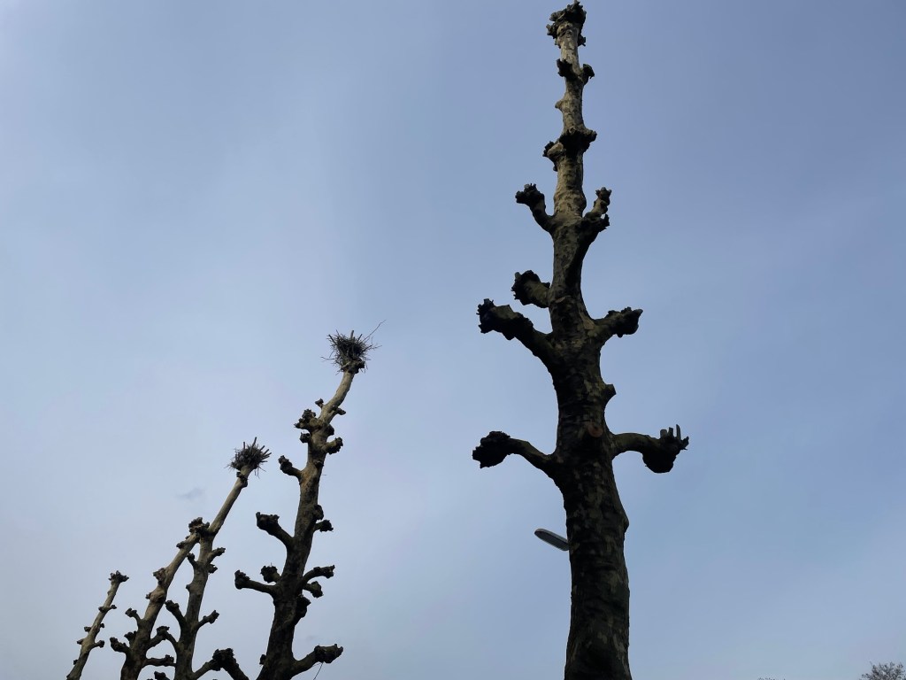 My body is a&nbsp;mausoleum