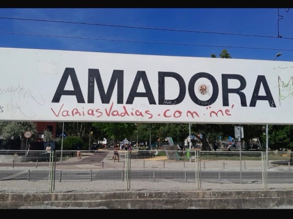 Tames em tode&nbsp;lade
